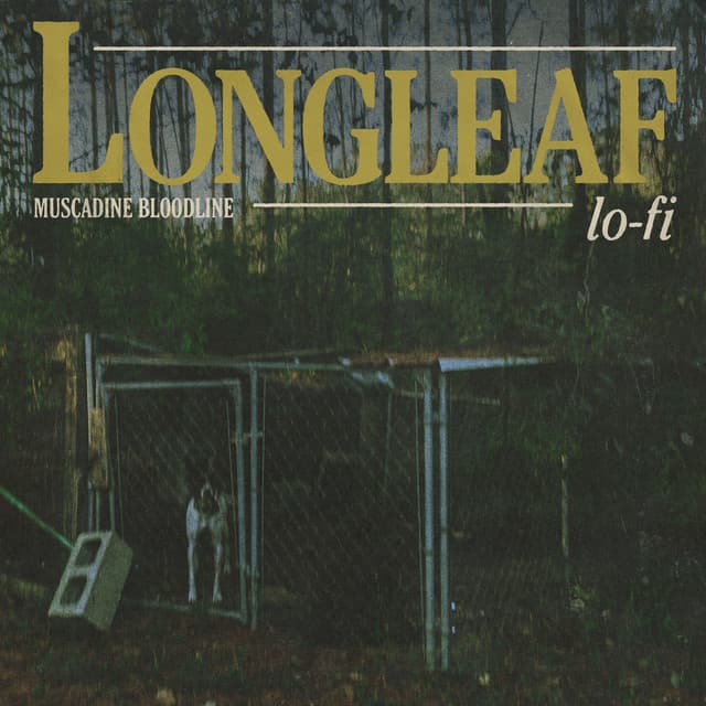 Longleaf Lo-fi