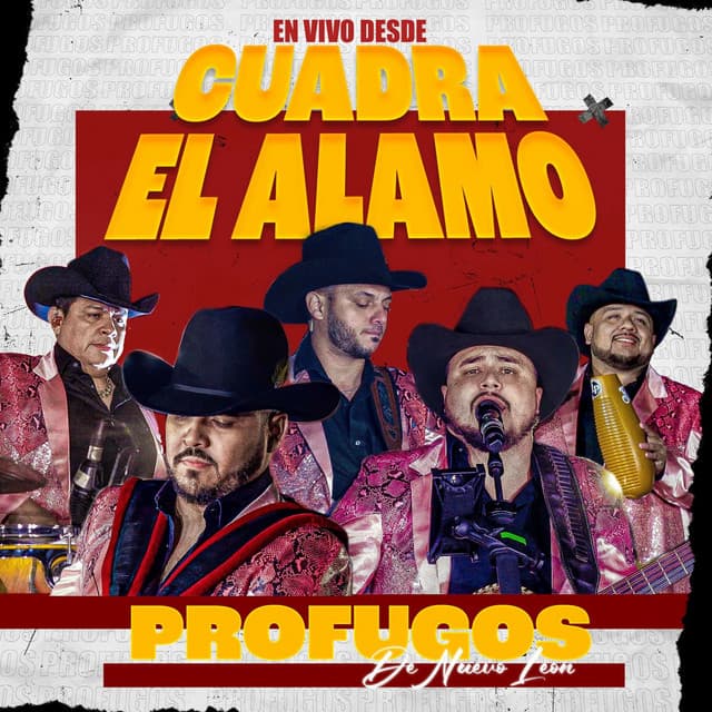 En Vivo Desde Cuadra El Alamo