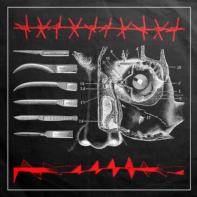 Live in Orlando, FL 3/14/2022