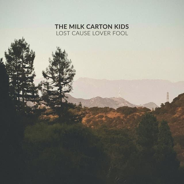 Lost Cause Lover Fool