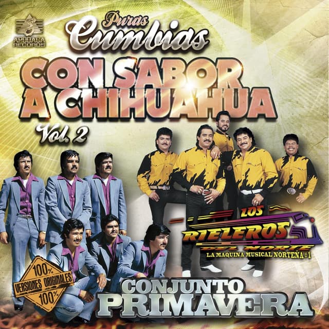 Puras Cumbias Con Sabor a Chihuahua, Vol. 2