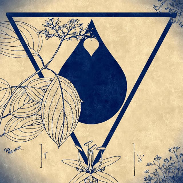 Live Bacon: 3/24/18, Sprout Music Collective, Westchester, PA