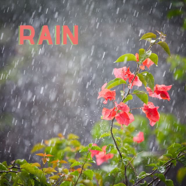 Rain (Remastered 2023)