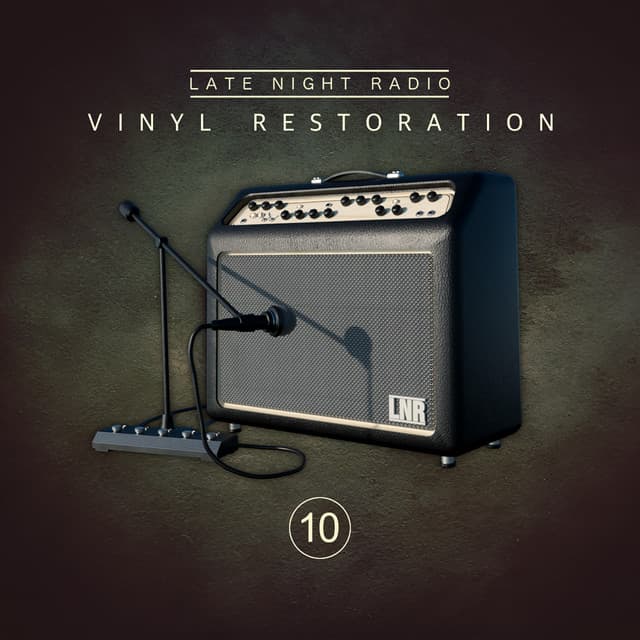 Vinyl Restoration, Vol. 10