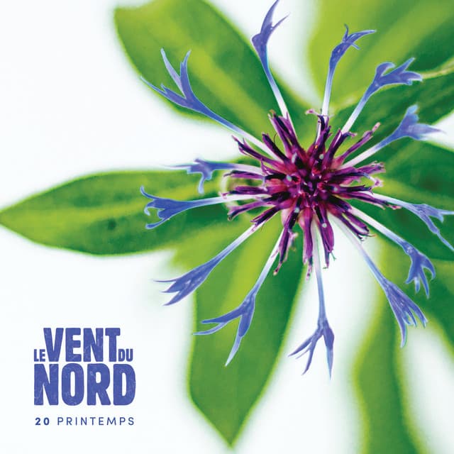 20 printemps