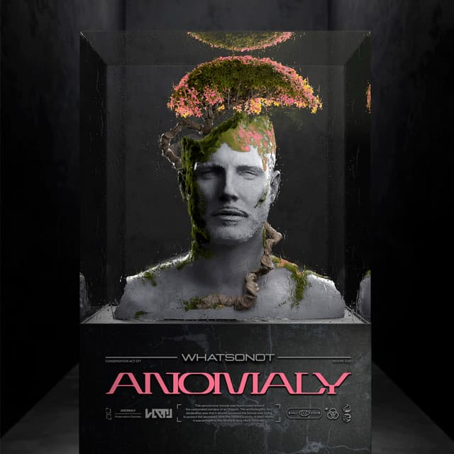 Anomaly