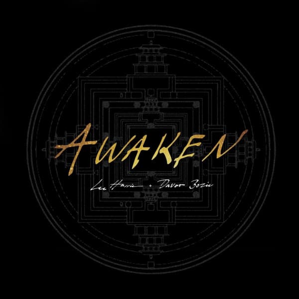 Awaken