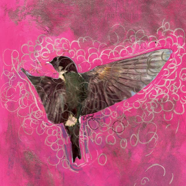 girl echo suns veils