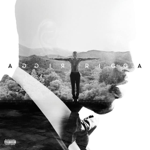 Trigga (Deluxe)
