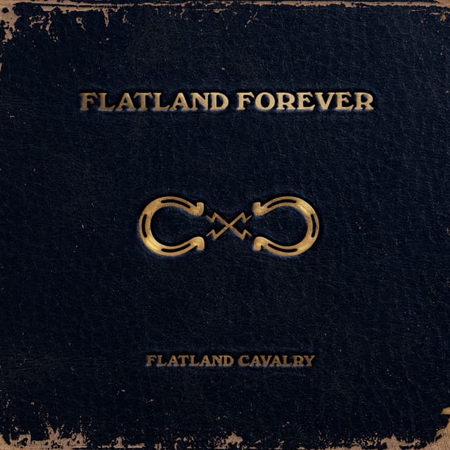 Flatland Forever