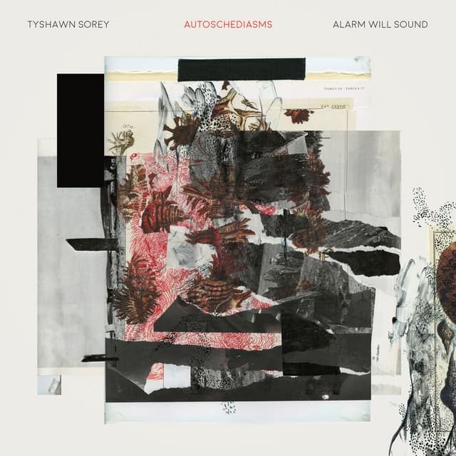 Tyshawn Sorey: Autoschediasms (Live)