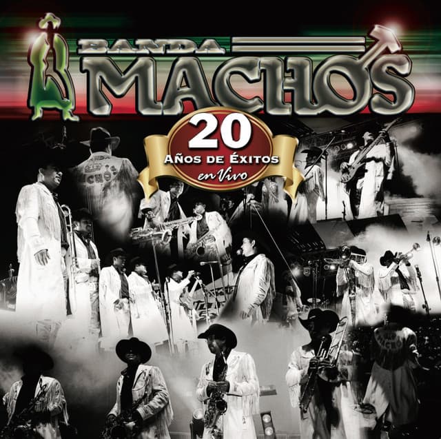 20 Años De Exitos En Vivo