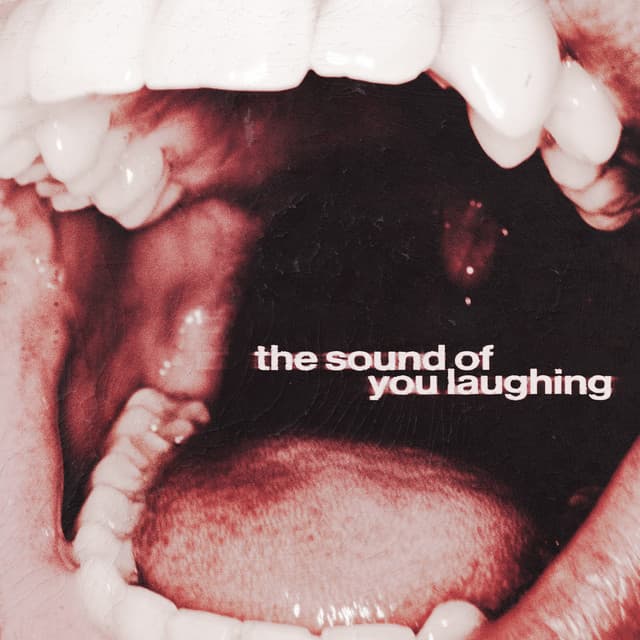 The Sound of You Laughing