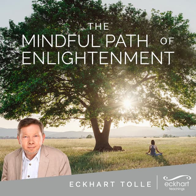 The Mindful Path to Enlightenment
