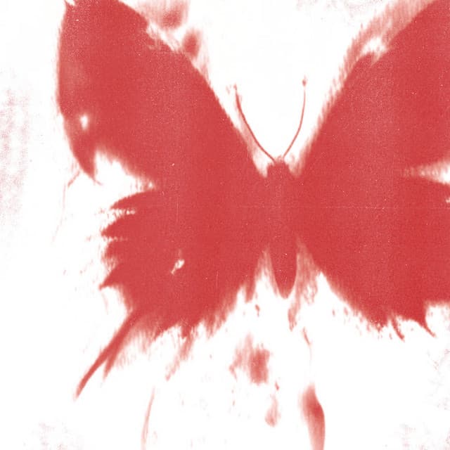WHERE DID ALL THE BUTTERFLIES GO?