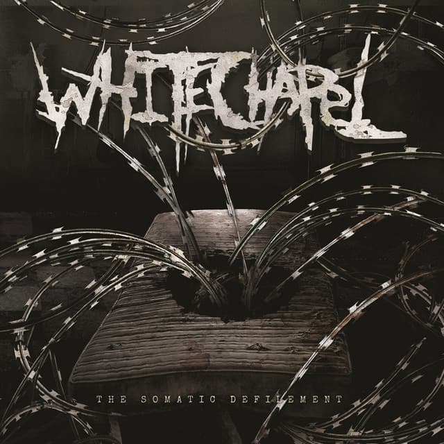 The Somatic Defilement