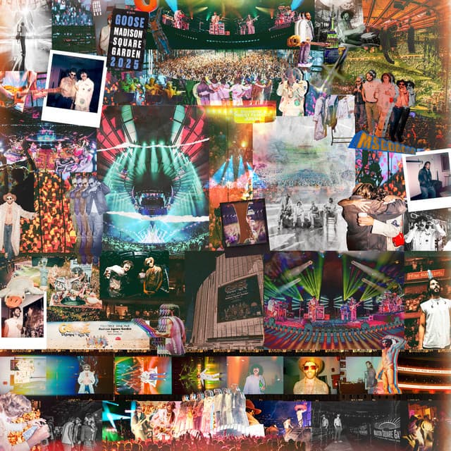 Live at Madison Square Garden