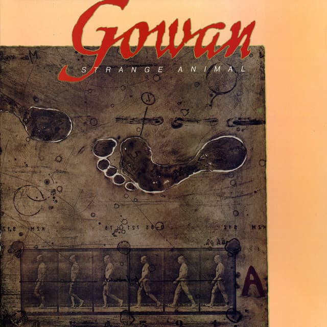 Strange Animal
