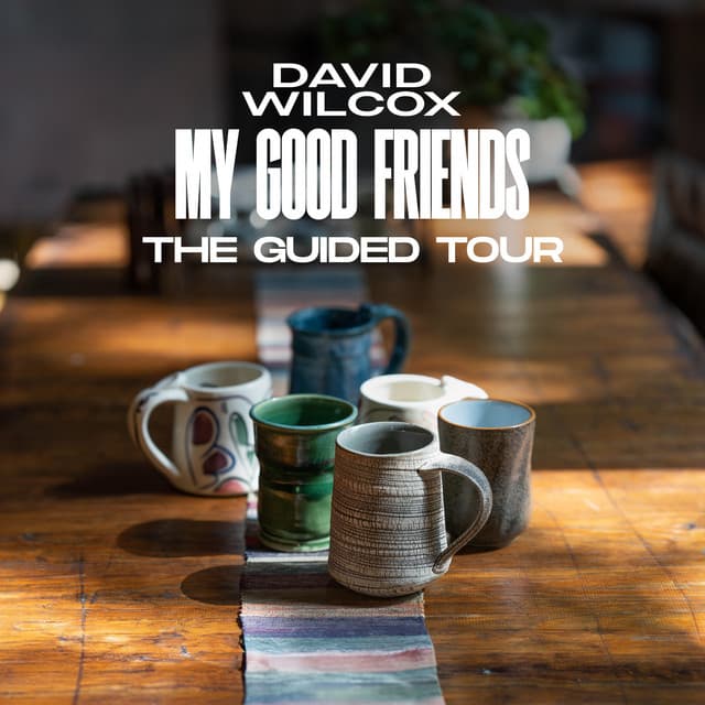 My Good Friends (The Guided Tour)