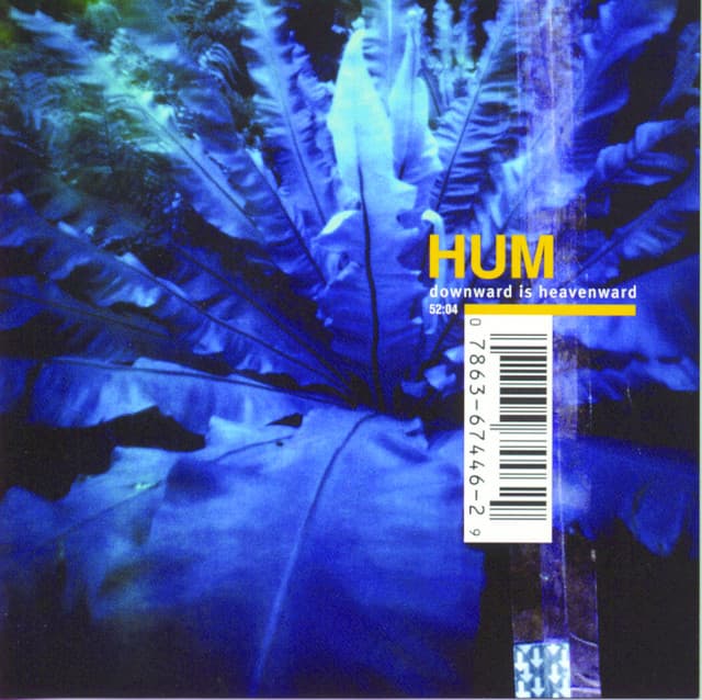 Downward Is Heavenward