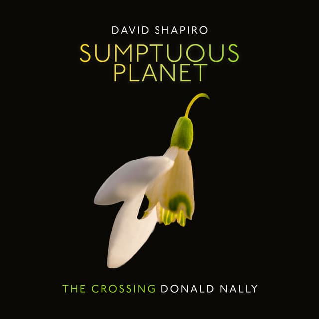 David Shapiro: Sumptuous Planet (A Secular Mass)