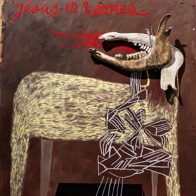 Alan Sparhawk with Trampled by Turtles