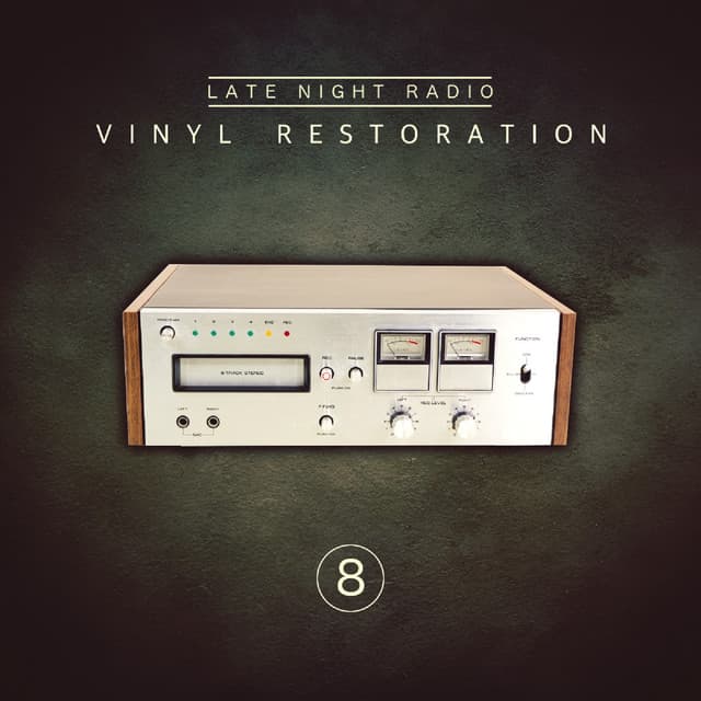 Vinyl Restoration, Vol. 8