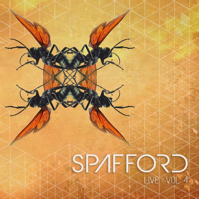 Spafford, Vol. 4 (Live)