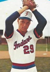 Joe Hesketh won the 1984 AA Most Valuable Pitcher Award.