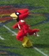 Cy during a football game