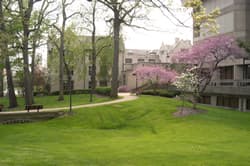 Greenspace between Jones Hall and Maag Library (right)