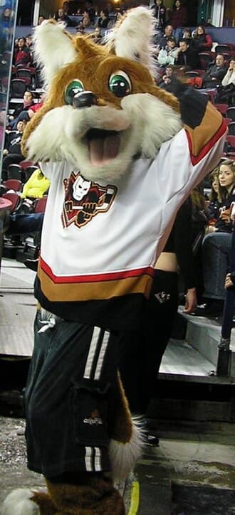 Hitmen mascot Farley the Fox