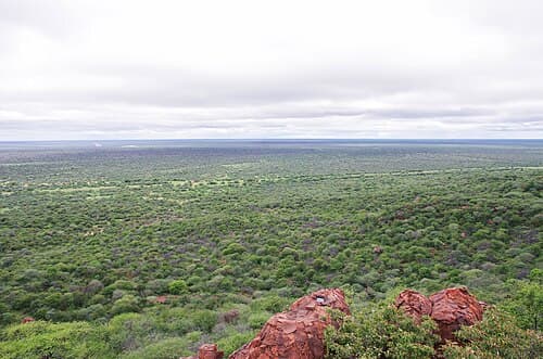 View of bush encroached land at the Waterberg Plateau Park in Otjozondjupa Region, Namibia