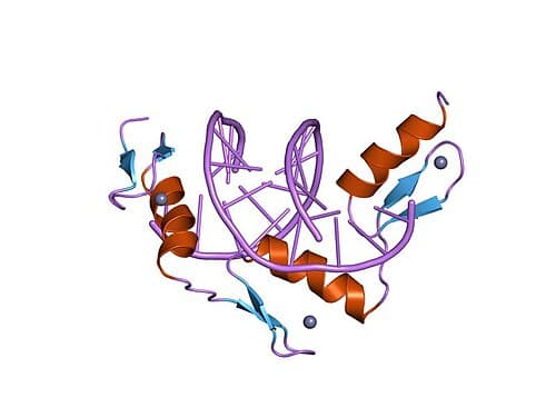 File:PDB_1zaa_EBI.jpg