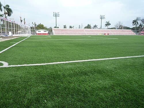 Luis E. Tapia Stadium artificial turf