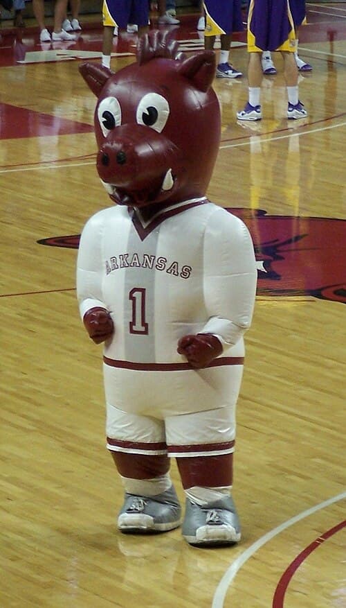 Boss Hog entertains fans at a basketball game in 2010.