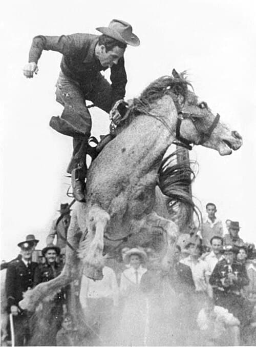Alan Wood on the great bucking mare, Curio; photo taken shortly before Wood regained his seat and then made the required time