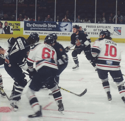 Greenville Swamp Rabbits (in navy) vs. South Carolina Stingrays in February 2016.