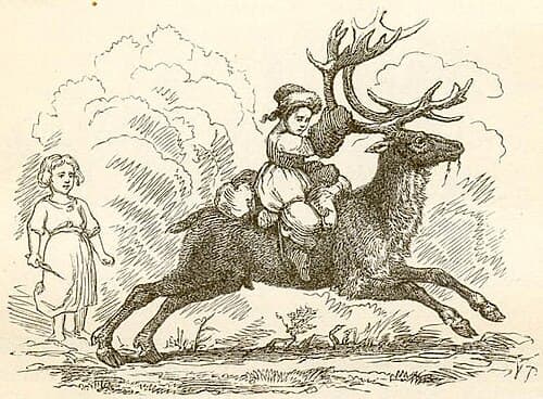 Vilhelm Pedersen illustration