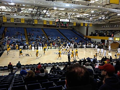 Towson Tigers men's basketball