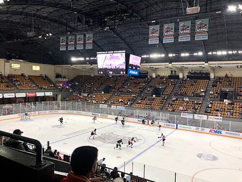 The Ice Bears in their Knoxville Cherokee throwback jerseys inside the Coliseum in February 2021.