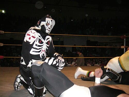 La Parka in action. He was forced to change his ring name from "La Parka" to "L.A. Park" in early 2003 when AAA owner Antonio Peña asserted his copyright claims to the "La Parka" character, barring him from using the name as he promoted a new La Parka.