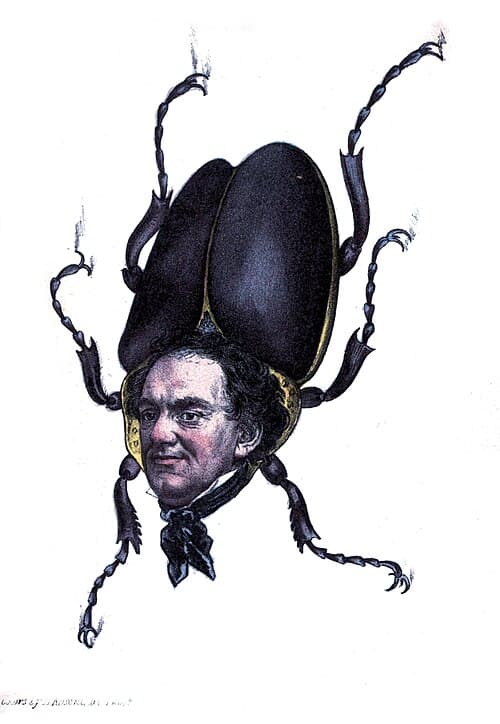 "Hum-Bug", a cartoon by H. L. Stephens (1851)
