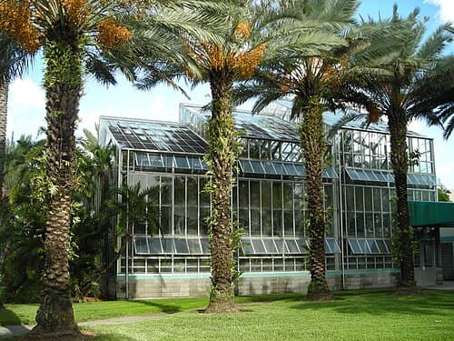 The Wertheim Conservatory houses many rare species of plants and foliage.