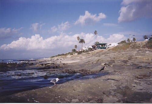 View from Horseshoe.