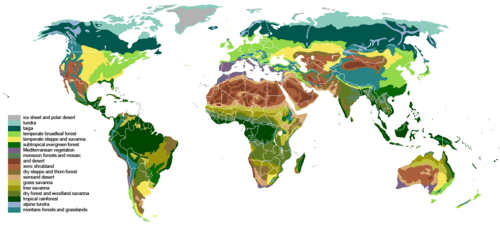 Depiction of terrestrial biomes around the world