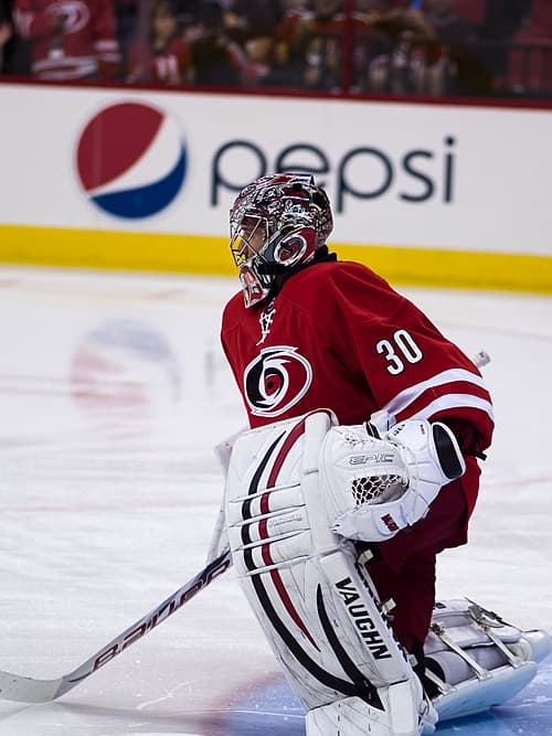With 39 wins in the 2008–09 season, Cam Ward set the franchise record for most wins by a goaltender in a season.