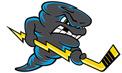 File:Quad_City_Storm_logo.png