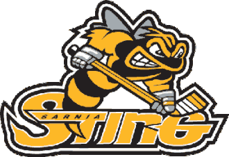 The original Sarnia Sting jersey logo