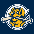 File:RiverDogs_cap.png
